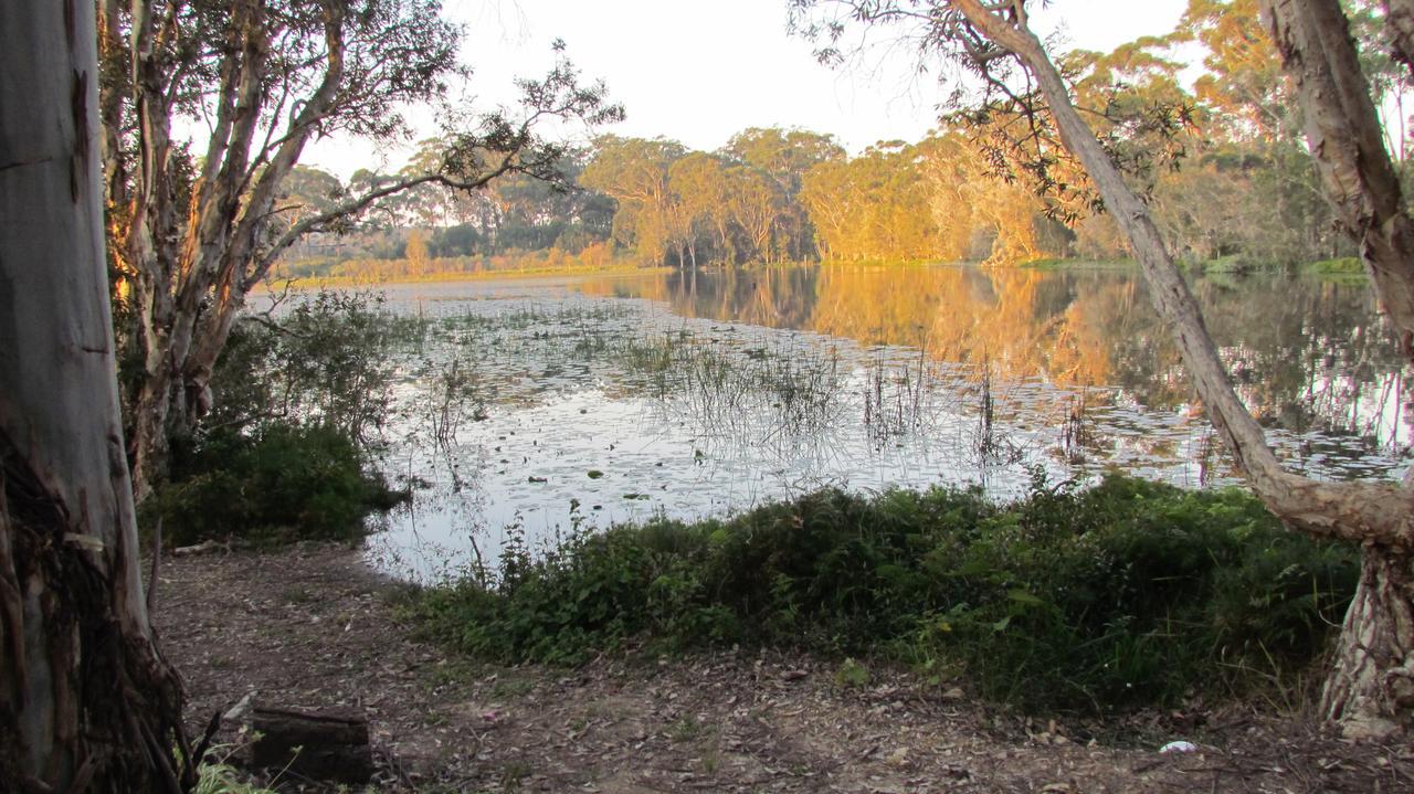 Lake Russell Retreat Emerald Beach Esterno foto