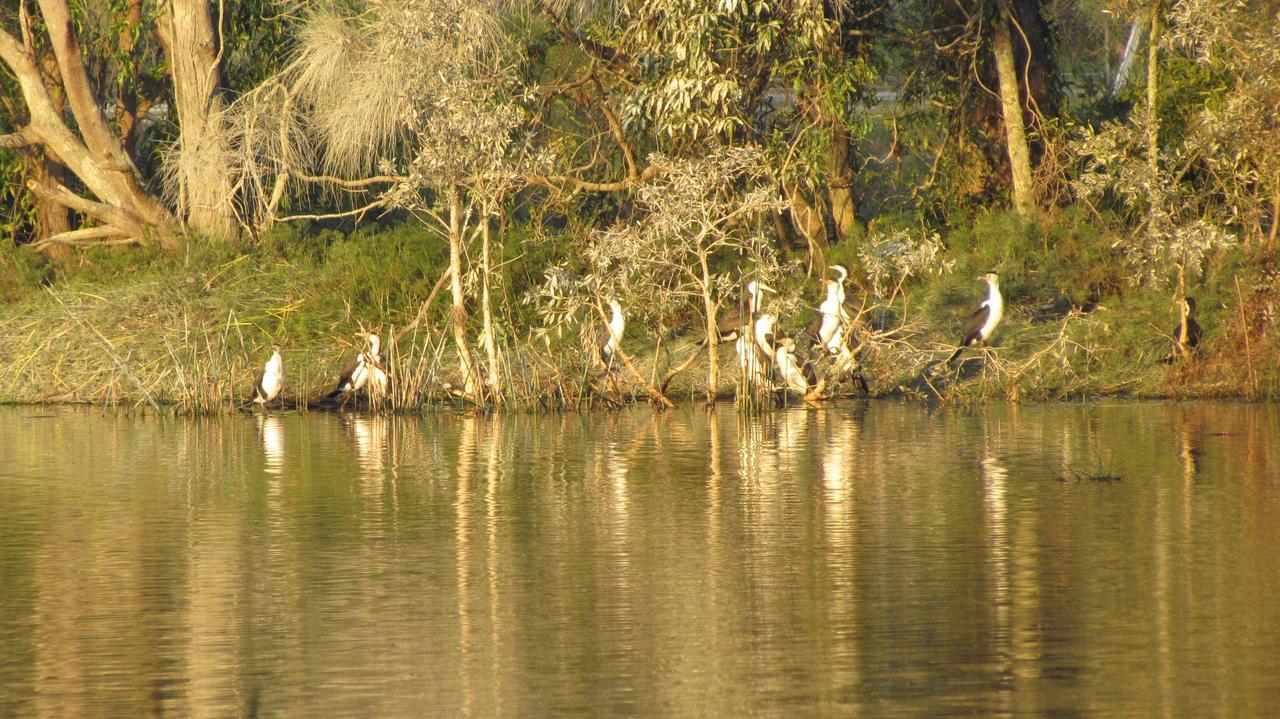 Lake Russell Retreat Emerald Beach Esterno foto