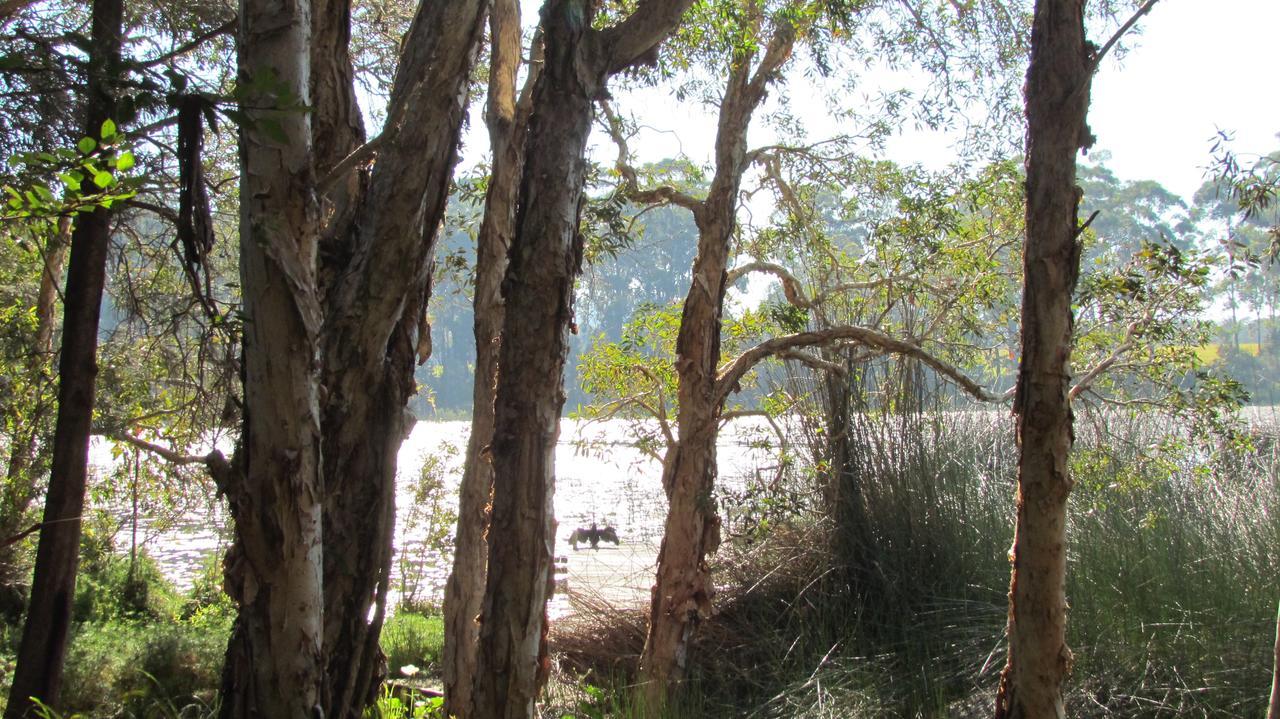 Lake Russell Retreat Emerald Beach Esterno foto
